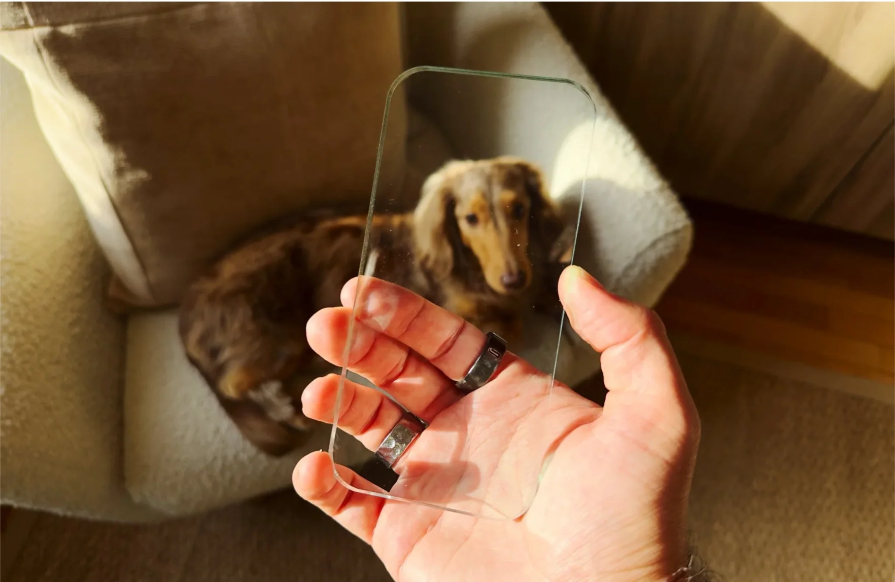 methaphone - Image 3
